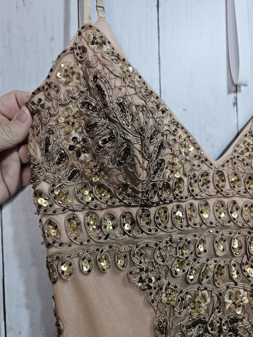 Sue Wong Nocturne Champagne Embroidered Beaded Drop Waist Dress Size 4 Lined. - Picture 3 of 13